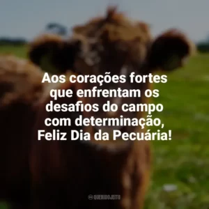Aos corações fortes que enfrentam os desafios do campo com determinação, Feliz Dia da Pecuária! Dia da Pecuária