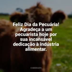 Feliz Dia da Pecuária! Agradeça a um pecuarista hoje por sua incansável dedicação à indústria alimentar. Dia da Pecuária