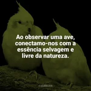 Ao observar uma ave, conectamo-nos com a essência selvagem e livre da natureza. Dia das Aves