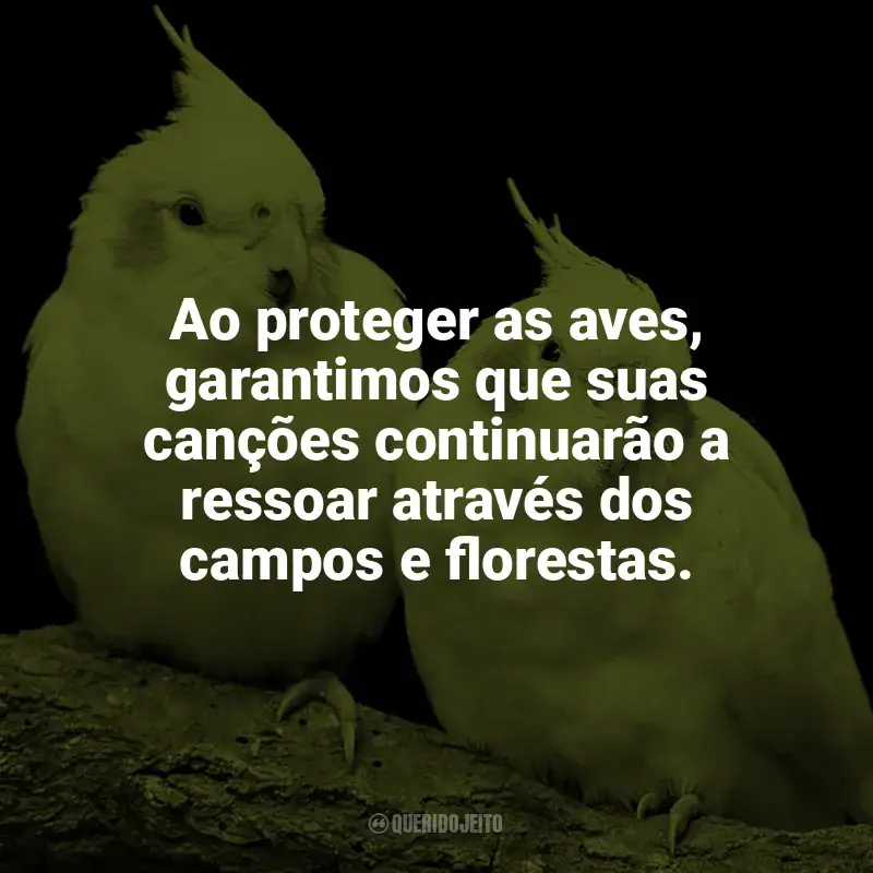 Frases Dia das Aves: Ao proteger as aves, garantimos que suas canções continuarão a ressoar através dos campos e florestas.