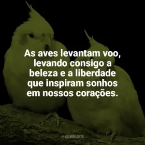 As aves nos lembram que, mesmo nos dias mais cinzentos, há beleza e música no mundo. Dia das Aves