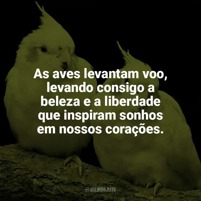 Dia das Aves frases: As aves nos lembram que, mesmo nos dias mais cinzentos, há beleza e música no mundo.