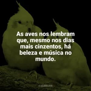 As aves representam a liberdade de explorar, sonhar e viver sem limites. Dia das Aves