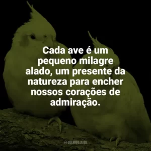 Cada ave é um pequeno milagre alado, um presente da natureza para encher nossos corações de admiração. Dia das Aves