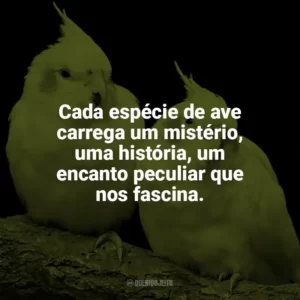 Cada espécie de ave carrega um mistério, uma história, um encanto peculiar que nos fascina. Dia das Aves