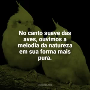 No canto suave das aves, ouvimos a melodia da natureza em sua forma mais pura. Dia das Aves