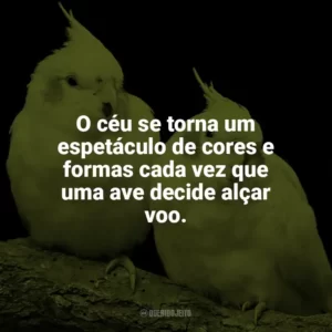 O céu se torna um espetáculo de cores e formas cada vez que uma ave decide alçar voo. Dia das Aves