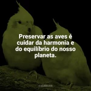 Preservar as aves é cuidar da harmonia e do equilíbrio do nosso planeta. Dia das Aves