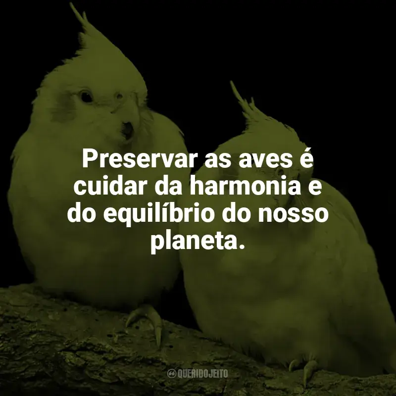 Dia das Aves frases: Preservar as aves é cuidar da harmonia e do equilíbrio do nosso planeta.