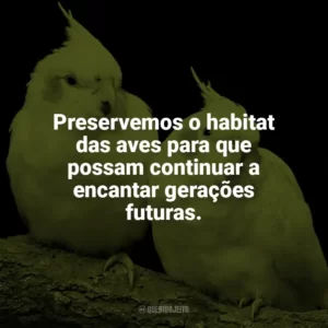 Preservemos o habitat das aves para que possam continuar a encantar gerações futuras. Dia das Aves