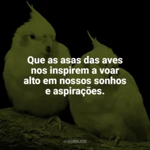 Que as asas das aves nos inspirem a voar alto em nossos sonhos e aspirações. Dia das Aves