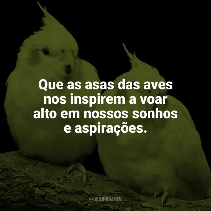 Frases de homenagem Dia das Aves: Que as asas das aves nos inspirem a voar alto em nossos sonhos e aspirações.