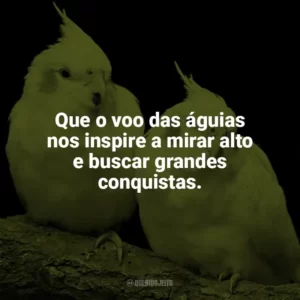 Que o voo das águias nos inspire a mirar alto e buscar grandes conquistas. Dia das Aves
