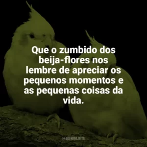 Que o zumbido dos beija-flores nos lembre de apreciar os pequenos momentos e as pequenas coisas da vida. Dia das Aves
