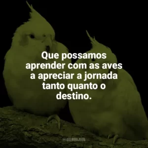 Que possamos aprender com as aves a apreciar a jornada tanto quanto o destino. Dia das Aves