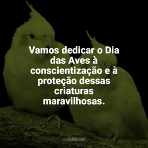 Vamos dedicar o Dia das Aves à conscientização e à proteção dessas criaturas maravilhosas. Dia das Aves