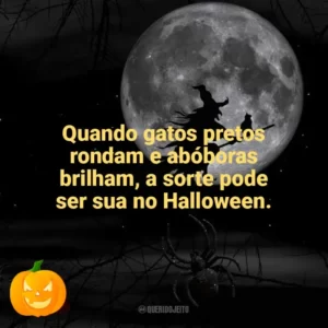Quando gatos pretos rondam e abóboras brilham, a sorte pode ser sua no Halloween. Dia das Bruxas