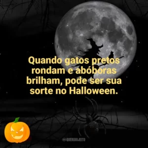 Quando gatos pretos rondam e abóboras brilham, pode ser sua sorte no Halloween. Dia das Bruxas