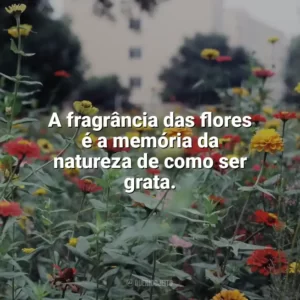 A fragrância das flores é a memória da natureza de como ser grata. Dia das Flores