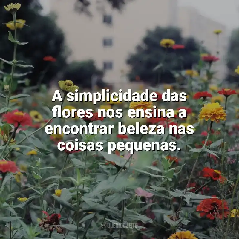 Frases Dia das Flores: A simplicidade das flores nos ensina a encontrar beleza nas coisas pequenas.