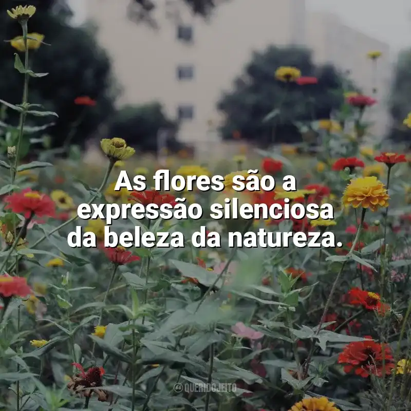 Frases Feliz Dia das Flores: As flores são a expressão silenciosa da beleza da natureza.