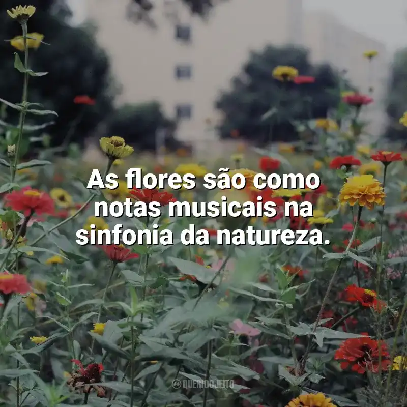 Dia das Flores frases: As flores são como notas musicais na sinfonia da natureza.