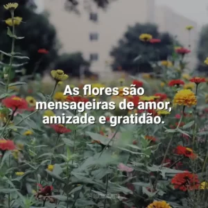 As flores são mensageiras de amor, amizade e gratidão. Dia das Flores
