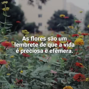 As flores são um lembrete de que a vida é preciosa e efêmera. Dia das Flores