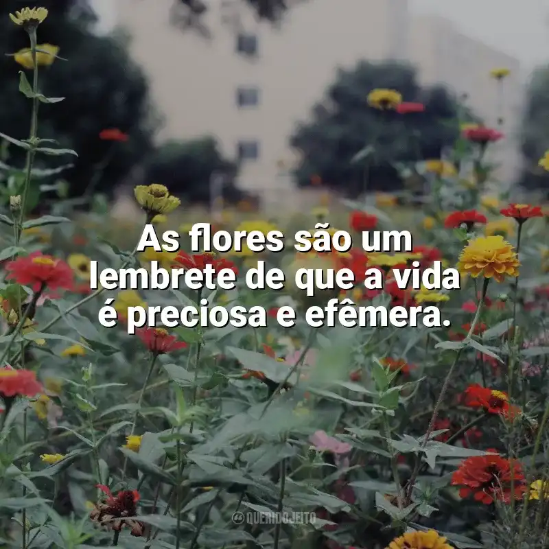 Frases do Dia das Flores: As flores são um lembrete de que a vida é preciosa e efêmera.