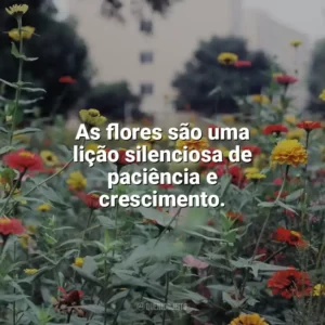 As flores são uma lição silenciosa de paciência e crescimento. Dia das Flores