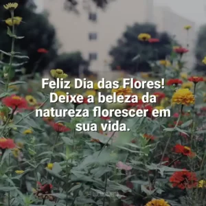 Feliz Dia das Flores! Deixe a beleza da natureza florescer em sua vida. Dia das Flores