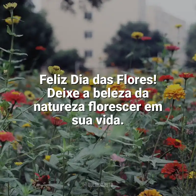 Frases do Dia das Flores: Feliz Dia das Flores! Deixe a beleza da natureza florescer em sua vida.
