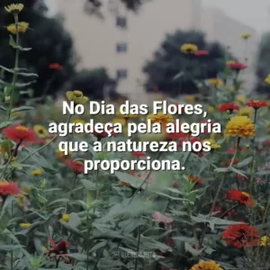 No Dia das Flores, agradeça pela alegria que a natureza nos proporciona. Dia das Flores