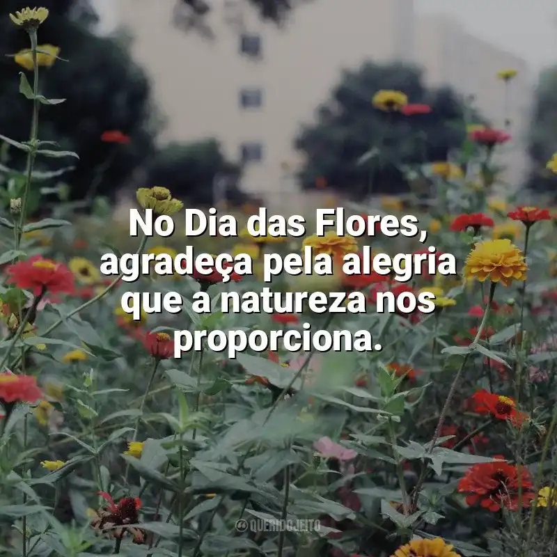 Frases para o Dia das Flores: No Dia das Flores, agradeça pela alegria que a natureza nos proporciona.