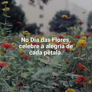 No Dia das Flores, celebre a alegria de cada pétala. Dia das Flores