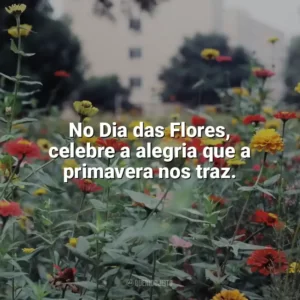 No Dia das Flores, celebre a alegria que a primavera nos traz. Dia das Flores