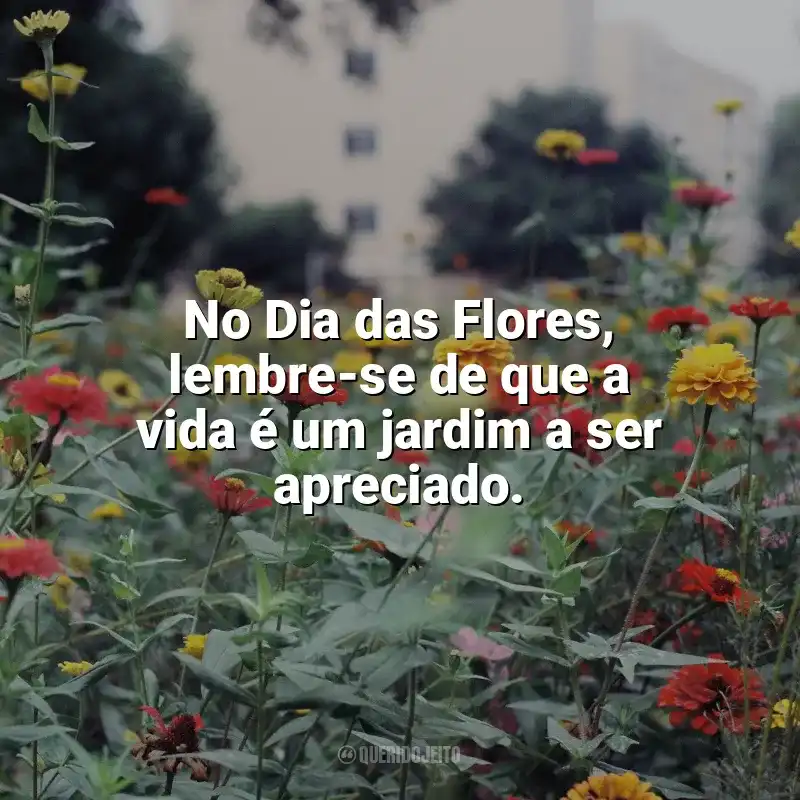 Frases Dia das Flores: No Dia das Flores, lembre-se de que a vida é um jardim a ser apreciado.