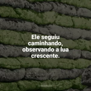 Ele seguiu caminhando, observando a lua crescente. Dia de Folga um Conto de Natal (Livro)