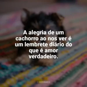 A alegria de um cachorro ao nos ver é um lembrete diário do que é amor verdadeiro. Dia do Cachorro