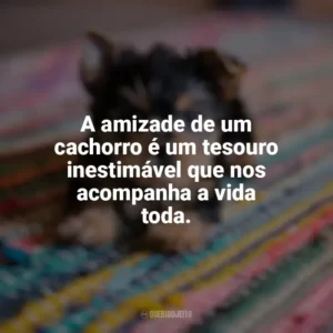 A amizade de um cachorro é um tesouro inestimável que nos acompanha a vida toda. Dia do Cachorro