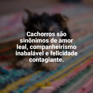 Cachorros são sinônimos de amor leal, companheirismo inabalável e felicidade contagiante. Dia do Cachorro