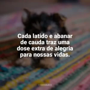 Cada latido e abanar de cauda traz uma dose extra de alegria para nossas vidas. Dia do Cachorro