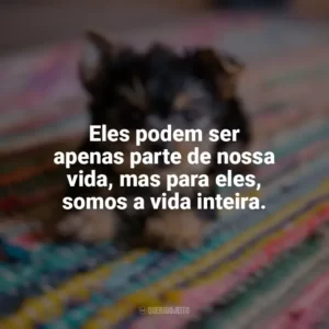 Eles podem ser apenas parte de nossa vida, mas para eles, somos a vida inteira. Dia do Cachorro