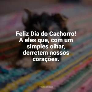 Feliz Dia do Cachorro! A eles que, com um simples olhar, derretem nossos corações. Dia do Cachorro