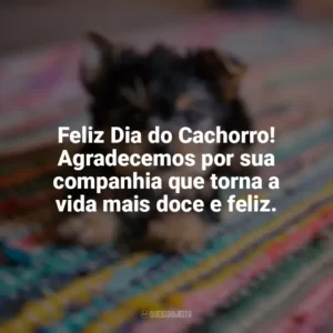 Feliz Dia do Cachorro! Agradecemos por sua companhia que torna a vida mais doce e feliz. Dia do Cachorro