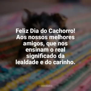 Feliz Dia do Cachorro! Aos nossos melhores amigos, que nos ensinam o real significado da lealdade e do carinho. Dia do Cachorro