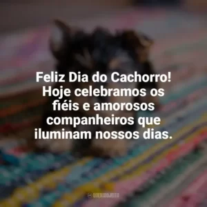 Feliz Dia do Cachorro! Hoje celebramos os fiéis e amorosos companheiros que iluminam nossos dias. Dia do Cachorro