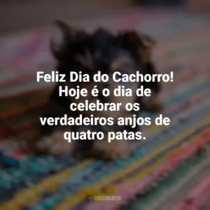 Feliz Dia do Cachorro! Hoje é o dia de celebrar os verdadeiros anjos de quatro patas. Dia do Cachorro