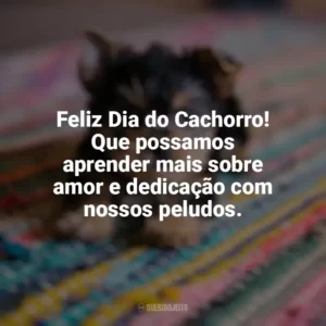 Feliz Dia do Cachorro! Que possamos aprender mais sobre amor e dedicação com nossos peludos. Dia do Cachorro