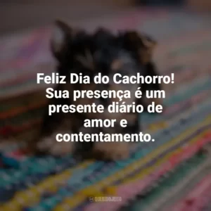 Feliz Dia do Cachorro! Sua presença é um presente diário de amor e contentamento. Dia do Cachorro